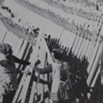 卒塔婆の材料の天日干し