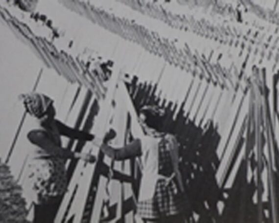 卒塔婆の材料の天日干し