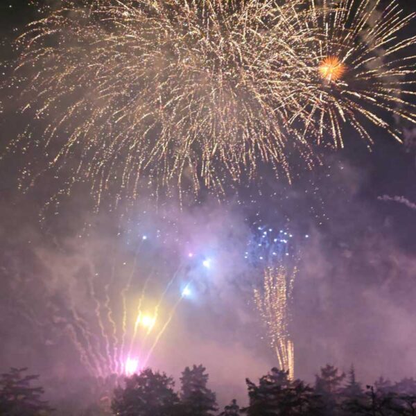 第7回秋川流域花火大会